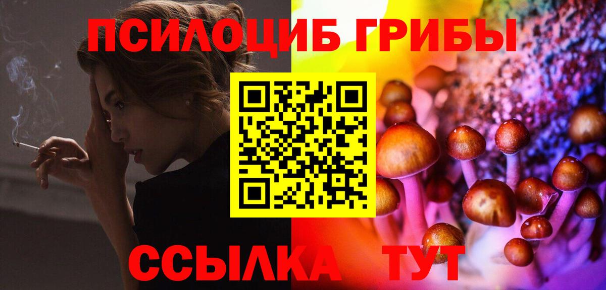 Псилоцибиновые грибы мицелий  Вход с VPN  Петрозаводск 